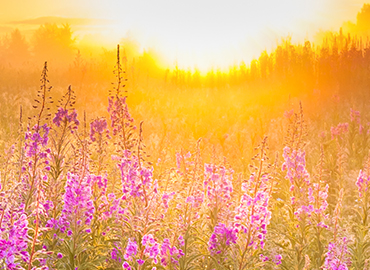 activity disorder disorders treatment