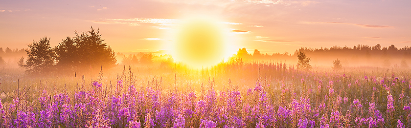 anorexia eating disorders treatment