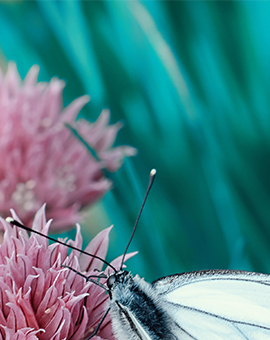 binge eating treatment