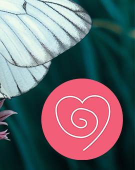 food disorders treatment santa rosa