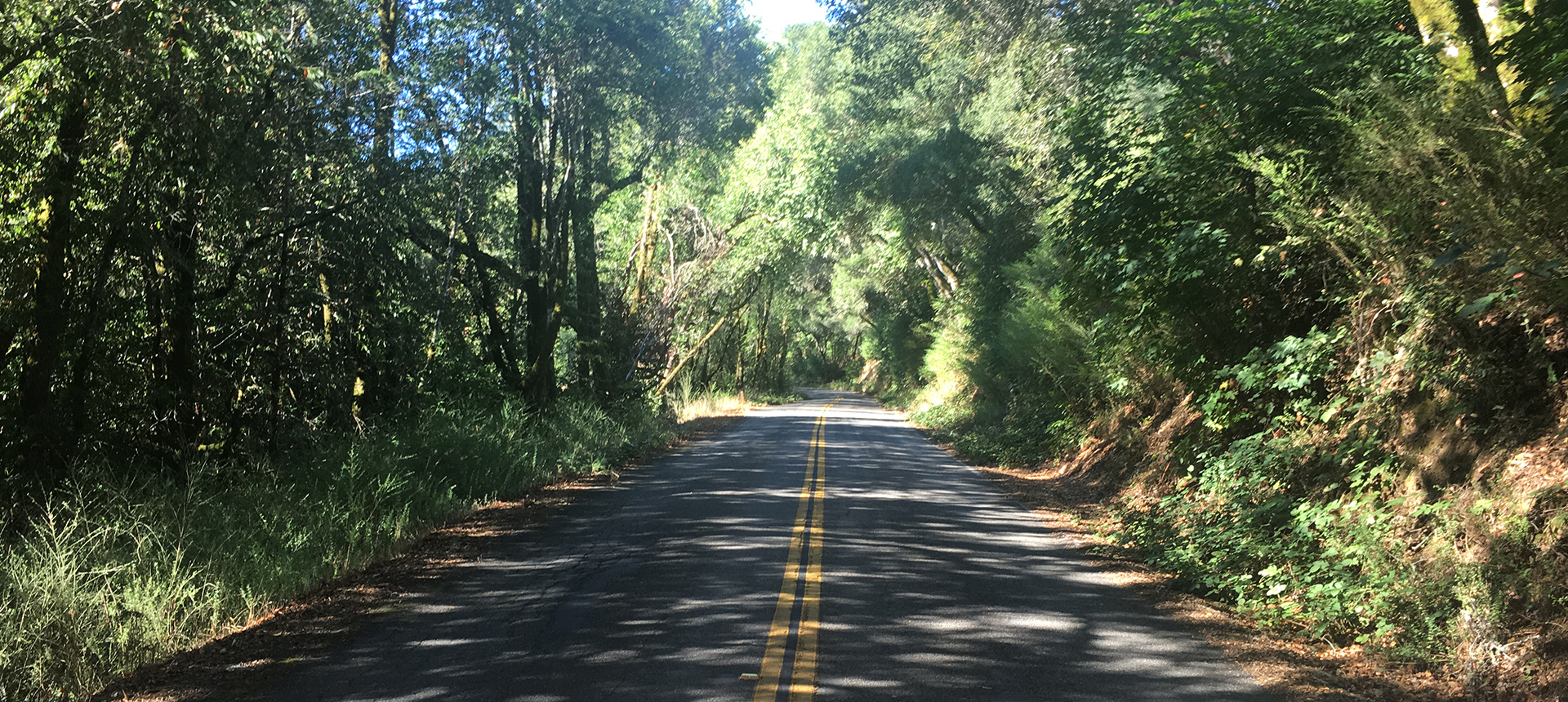 eating disorders treatment